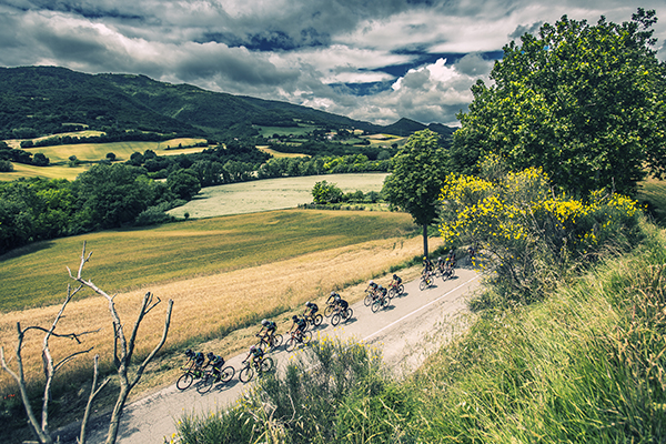 Marche Cycling Experience 